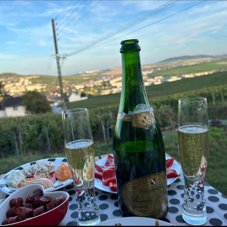 הוילה Dans Les Vignes D'Épernay מראה חיצוני תמונה