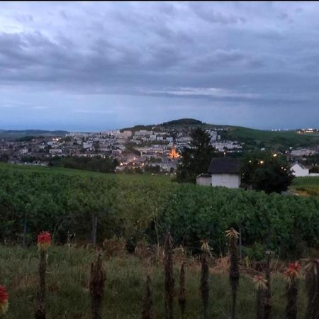 הוילה Dans Les Vignes D'Épernay מראה חיצוני תמונה