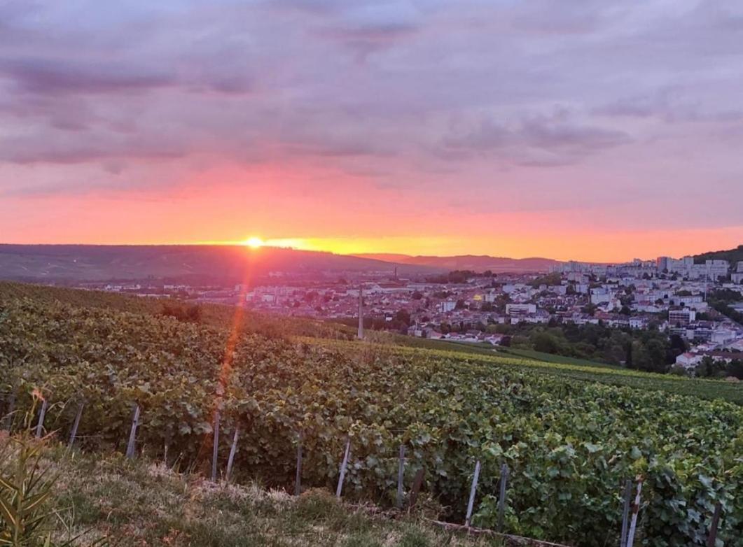 הוילה Dans Les Vignes D'Épernay מראה חיצוני תמונה